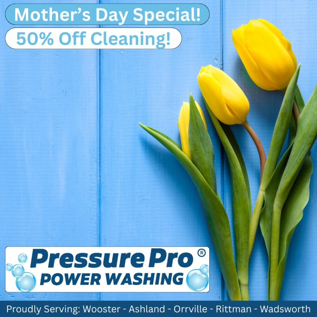 A promotional image for a Mother's Day cleaning service featuring yellow tulips on a blue background, with text announcing 'Mother's Day Special! 50% Off Cleaning!' and the logo of Pressure Pro Power Washing.